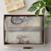 Oude  klassieke autoontkoppeling tissuepapier (Geschenk)