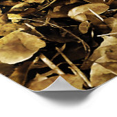 Oude klassieke koplampen poster (Hoek)