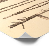Oude Knopen En Tuigage Poster (Hoek)