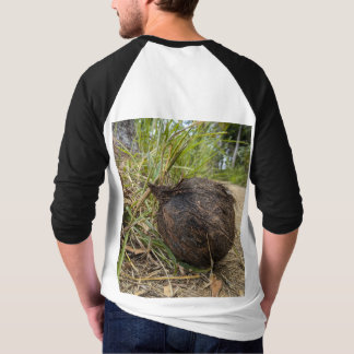 Oude kokosnoot t-shirt