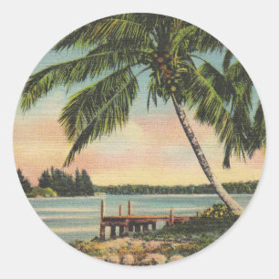 Oude Kokospalm Boom Tropisch Briesje Zonsondergang Ronde Sticker