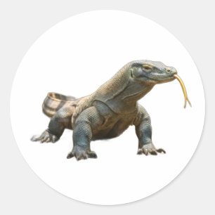 Oude Komodo-draak Indonesië Erfgoed Sticker