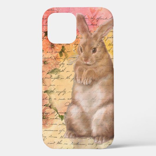 Oude Konijn Kollage Case-Mate iPhone Case (Achterkant)