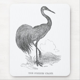 Oude kraanvogel Pen en inkt tekening Muismat