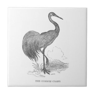 Oude kraanvogel pen en inkt tekening tegeltje