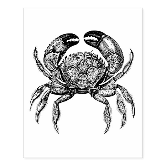 Oude Krab #1 Tekening Rubberstempel (Afrduk)