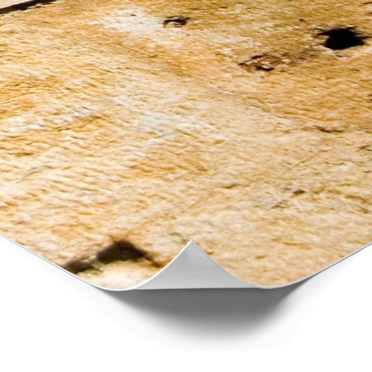 Oude Kroatische vensterluiken Poster (Hoek)