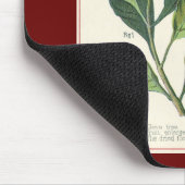 Oude kruiden en specerijen, kruidnagels plant muismat (Hoek)