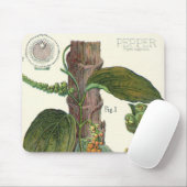 Oude kruiden en specerijen voor voedsel, zwarte pe muismat (Met muis)