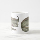 Oude Kuifzalm Vis, Zeeleven in het Aquatisch Leven Koffiemok (Center)