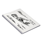 Oude kunsthartspieren van de hand en de pols notitieboek (Rechterzijde)