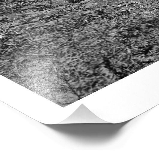 oude kunstschildpad foto afdruk (Hoek)