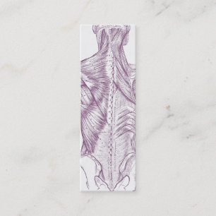 Oude kunstspieren voor anatomie van het achterste mini visitekaartje