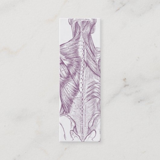 Oude kunstspieren voor anatomie van het achterste mini visitekaartje (Voorkant)