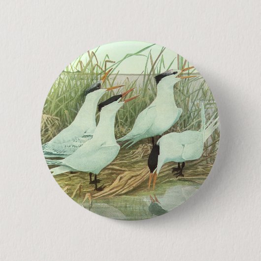 Oude kustvogels in een moeras van Louis Fuertes Ronde Button 5,7 Cm (Voorkant)