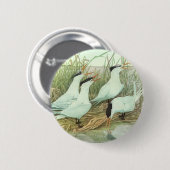 Oude kustvogels in een moeras van Louis Fuertes Ronde Button 5,7 Cm (Voorkant /achterkant)