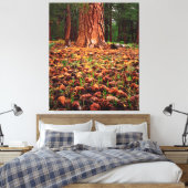 Oude kweek Ponderosa-boom met dennenaaltjes Canvas Afdruk (Insitu (Slaapkamer))