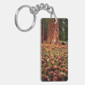 Oude kweek Ponderosa-boom met dennenaaltjes Sleutelhanger (Voorkant Links)