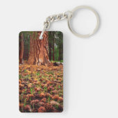 Oude kweek Ponderosa-boom met dennenaaltjes Sleutelhanger (achterkant)