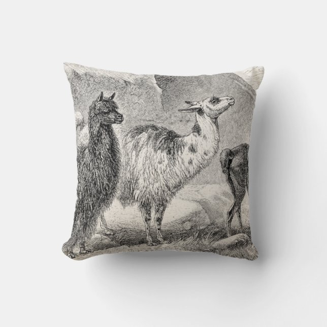 Oude Lama Alpaca Sjabloon Llama's Alpaca's Kussen (Voorkant)