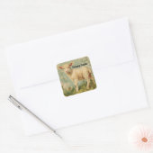 Oude Lammepas Stickers (Envelop)