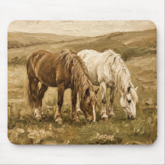 Oude Landelijke Boerderij Landschap Muismat