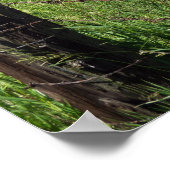 Oude landencentrale poster (Hoek)