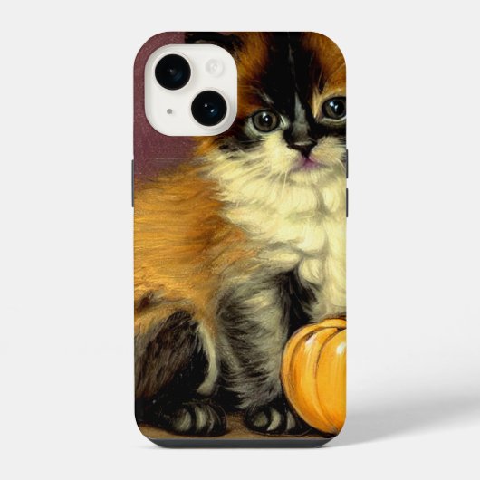 Oude lapjeskat Halloween-kat iPhone Hoesje (Achterkant)