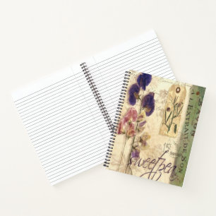 Oude lathyrus notitieboek