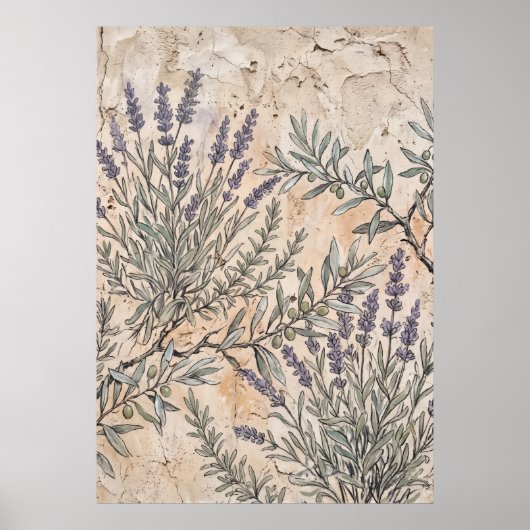 Oude lavendel botanische poster (Voorkant)