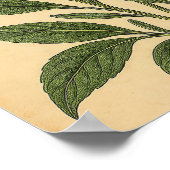 Oude lavendel op verweerd papier poster (Hoek)