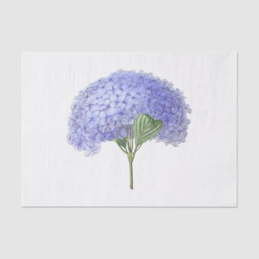 Oude lavendel paarse hortensia bloem bloemstuk tissuepapier (Voorkant)