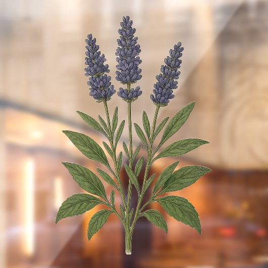 Oude lavendel raamsticker (Vel 2)