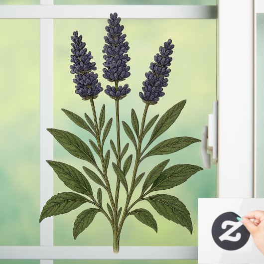 Oude lavendel raamsticker (Huis)