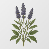 Oude lavendel raamsticker (Vel)