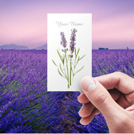 Oude lavendel visitekaartje
