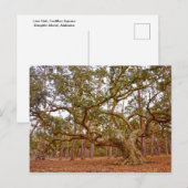 Oude levende eik in Cadillac Square Briefkaart (Voorkant / Achterkant)