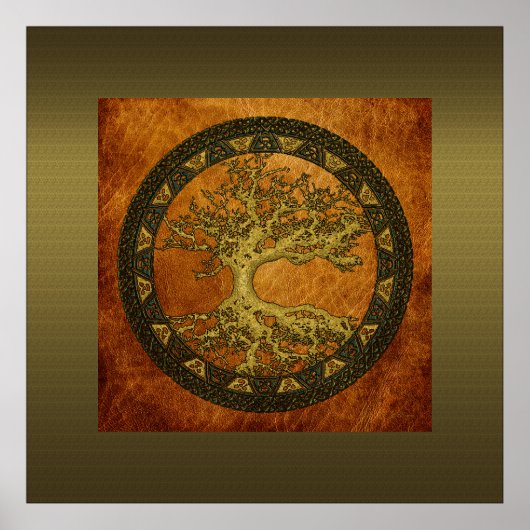 Oude levensboom poster (Voorkant)