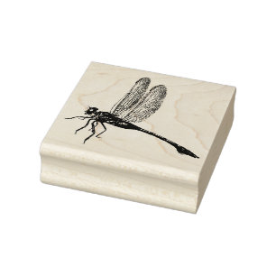 Oude Libelle Insect Stempel voor Ambachten Journal