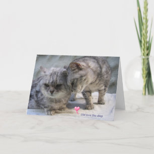 Oude liefde ligt diep.....kattenwenskaart kaart