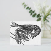 Oude lobstertekening briefkaart (Staand voorkant)