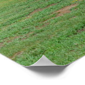 Oude logboekcabine poster (Hoek)