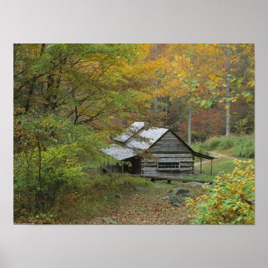 Oude logboekcabine poster (Voorkant)