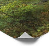 Oude logboekcabine poster (Hoek)