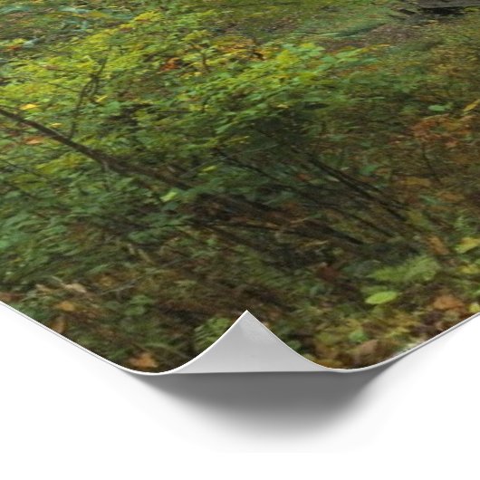 Oude logboekcabine poster (Hoek)