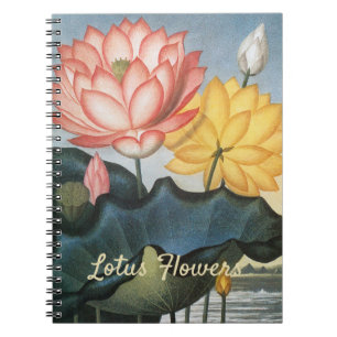 Oude Lotusbloemen, De Heilige Egyptische Boon Notitieboek