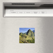 Oude Machu Picchu, laatste toevluchtsoord van de Magneet (Insitu (Vaatwasser))