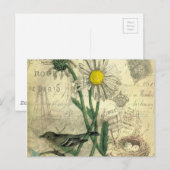 Oude madeliefjes ansichtkaart briefkaart (Voorkant / Achterkant)