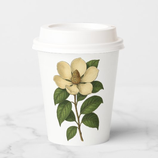 Oude Magnolia Papieren Bekers (Voorkant)
