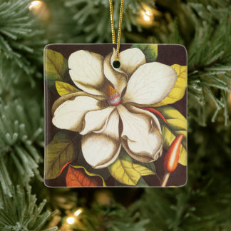 Oude magnoliabloemen plant met zaden keramisch ornament